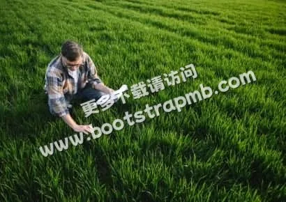九游娱乐：探索数字娱乐新维度 - 九游