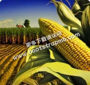 打造优质数字娱乐阅读平台 - 九游